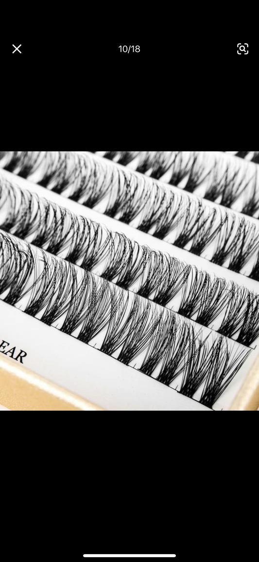 Lash Segment Kit