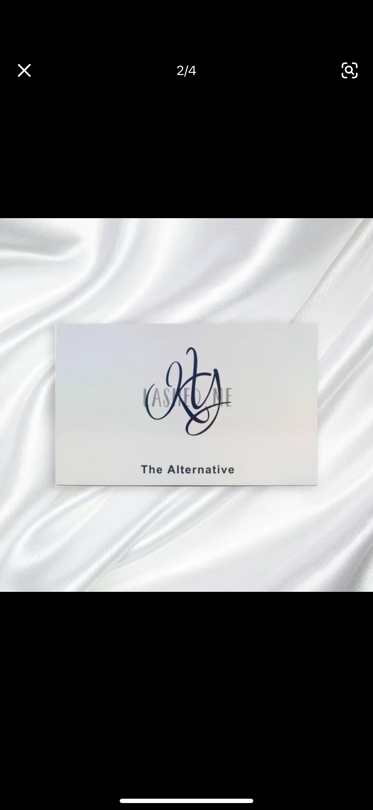 The Alternative