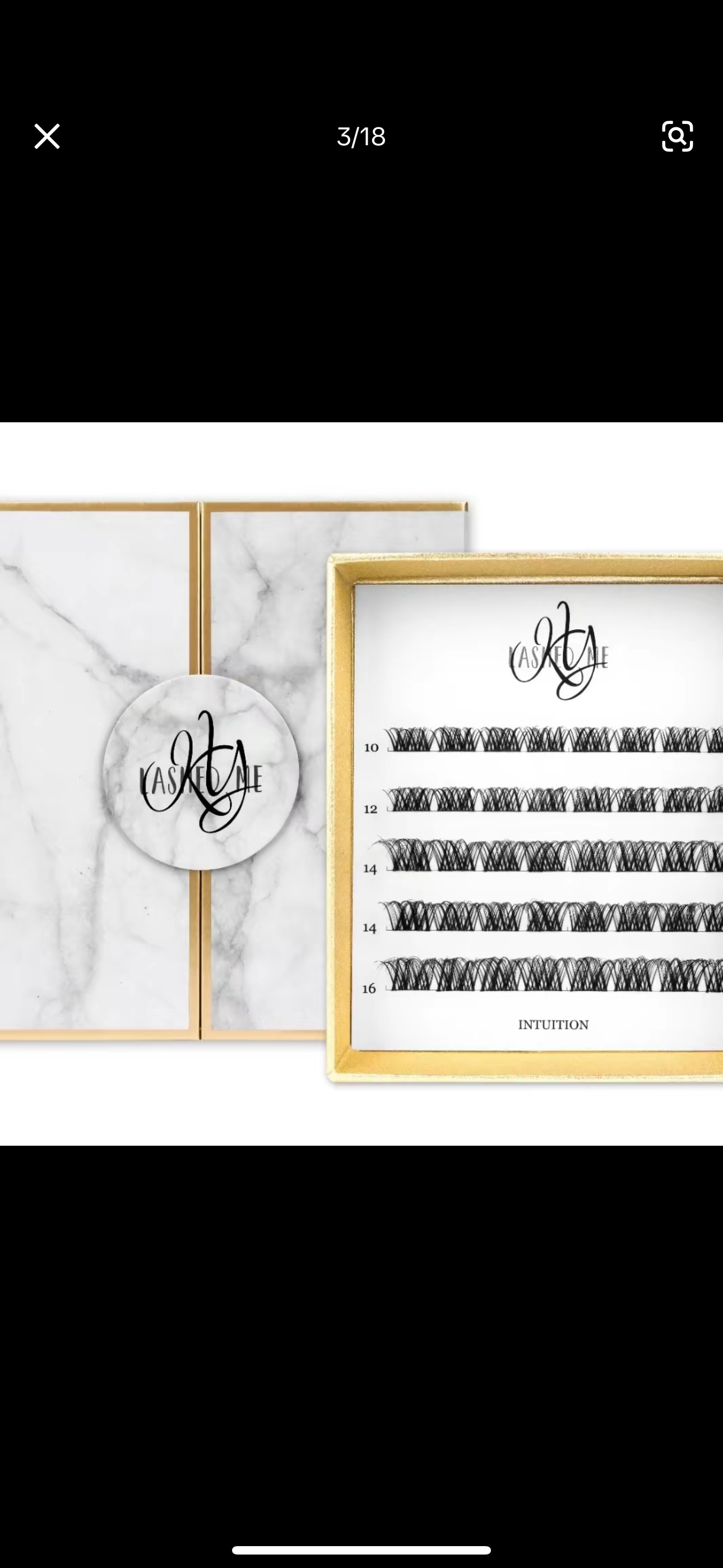 Lash Segments
