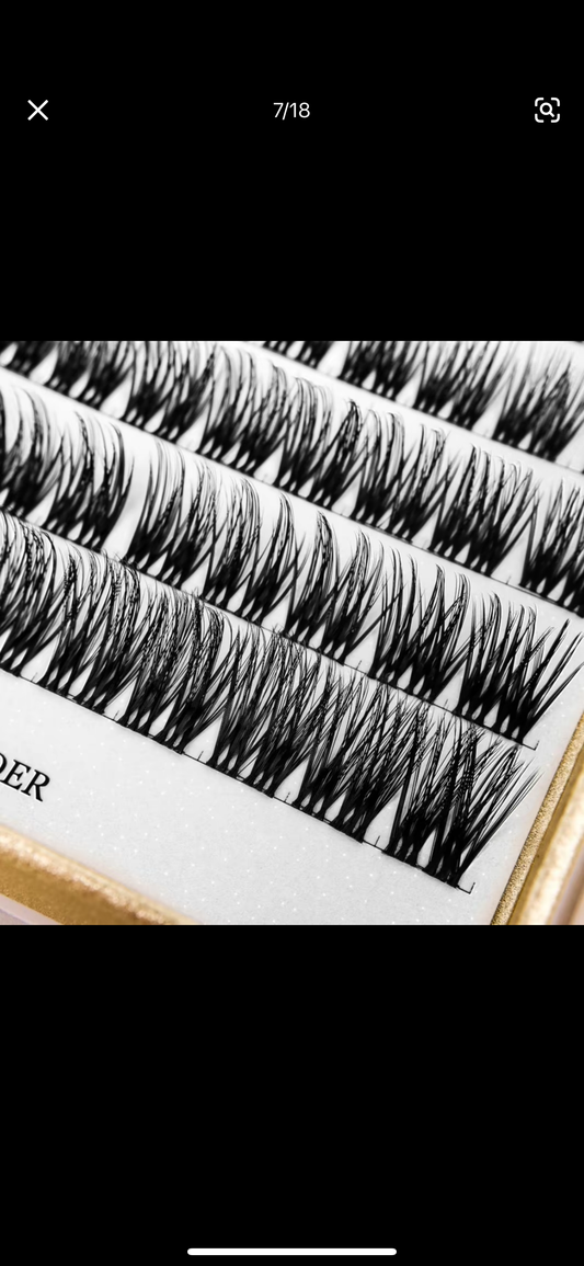 Lash Segment Kit
